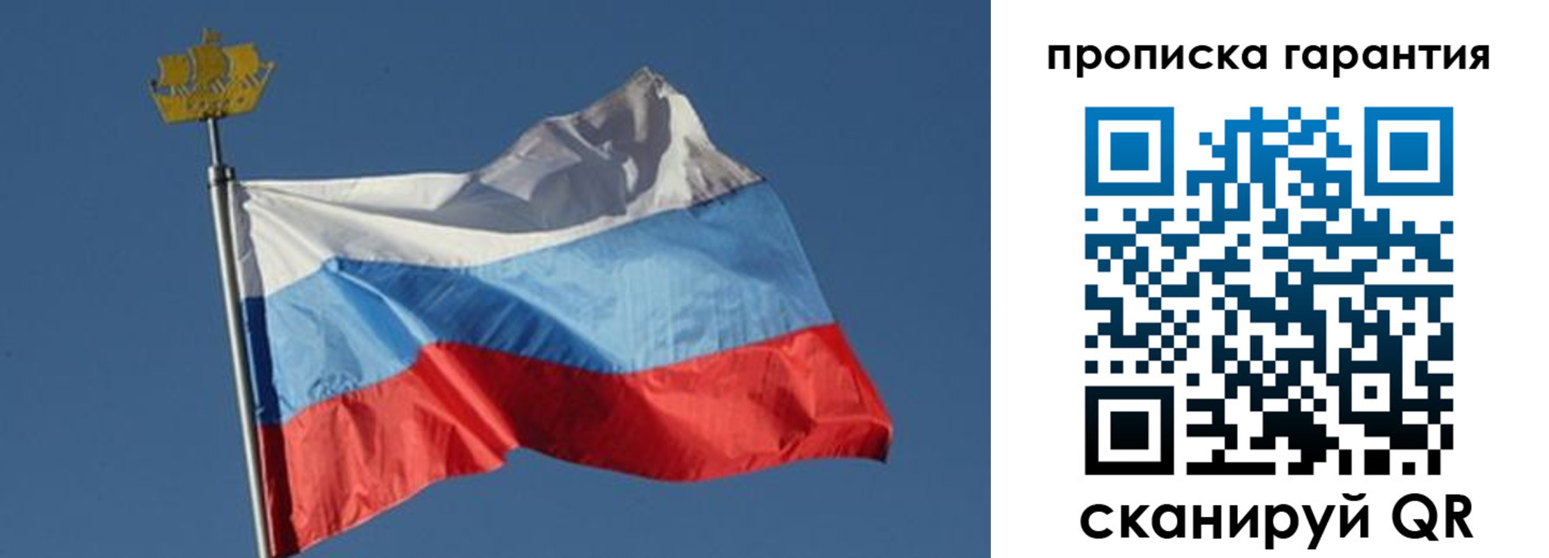 прописка для работы в Светлом